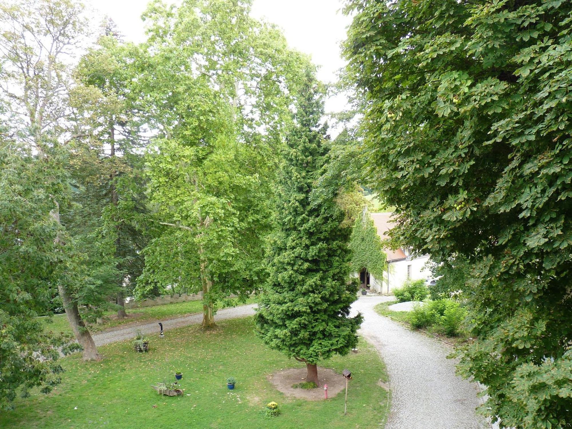 Hotel & Restaurant Schloss Weissenburg Uhlstädt Chambre photo